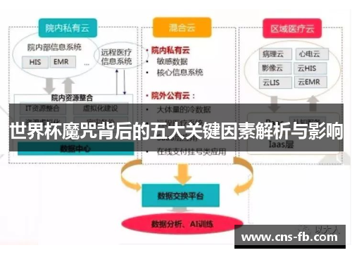 世界杯魔咒背后的五大关键因素解析与影响
