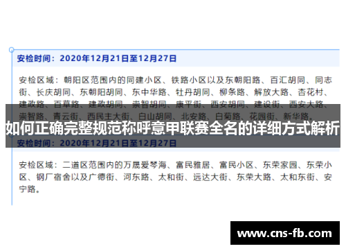 如何正确完整规范称呼意甲联赛全名的详细方式解析 如何正确完整规范称呼意甲联赛全名的详细方式解析