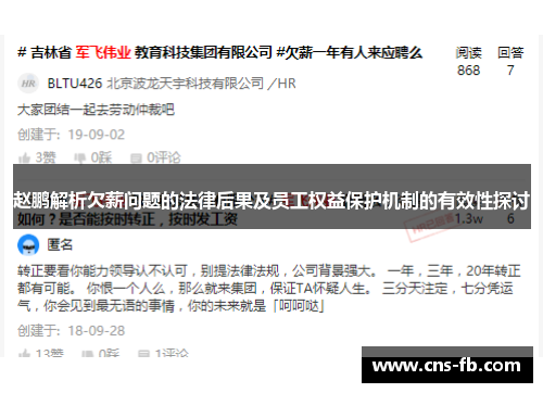 赵鹏解析欠薪问题的法律后果及员工权益保护机制的有效性探讨