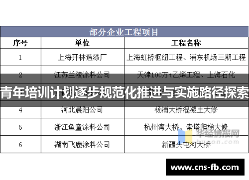 青年培训计划逐步规范化推进与实施路径探索